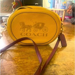 CAMERA BAG WITH HORSE AND CARRIAGE